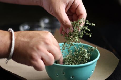 Torkade örter (basilika och oregano)