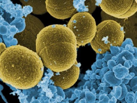 Tarminfluensa: viktig information om fienden