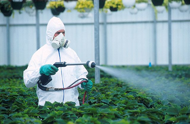 Nanopesticides: en ny lösning eller ett nytt hot? 