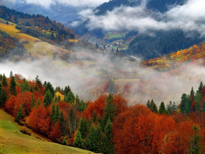 Vila i Transcarpathia på hösten - användbar med en trevlig