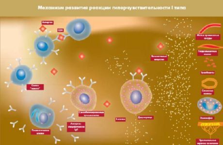 Öppet protein, vilket kommer att vara ett nytt mål för diabetes