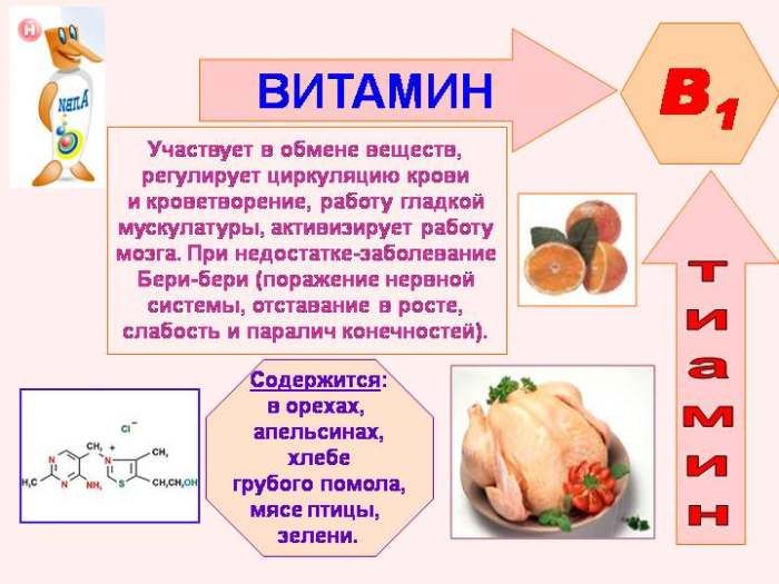 Egenskaperna av vitamin B1